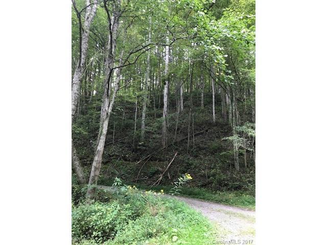 658 Frozenhead Ridge Road - Photo 1