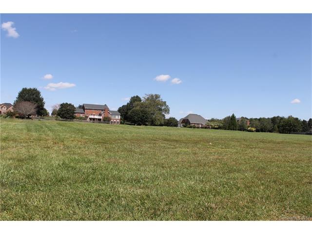 Lot 40 Doe Run Lane - Photo 1