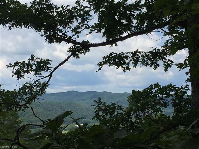 48 Mountain Morning Lane - Photo 1