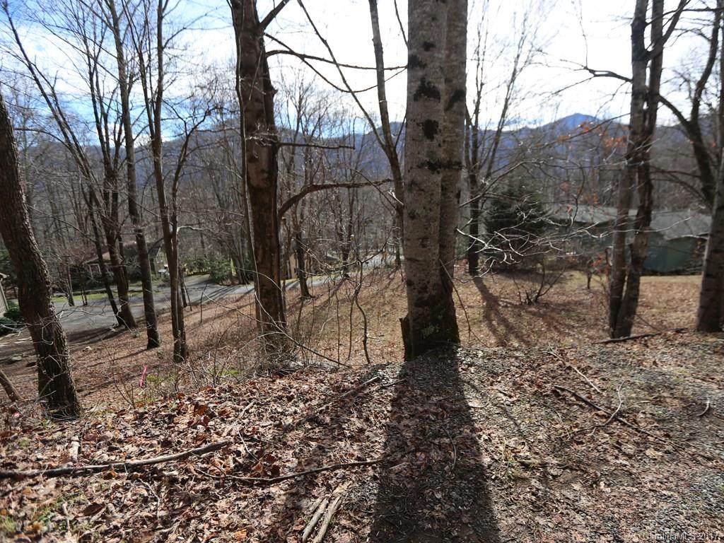 00 Blueberry Lane - Photo 1