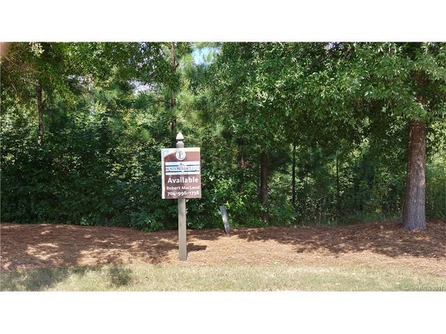 13703 Grand Palisades Parkway - Photo 1