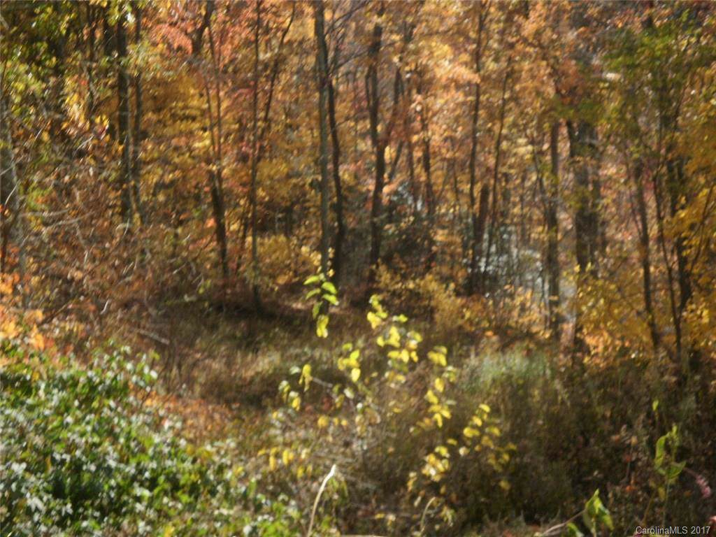 Lot 617 Yanu Trail - Photo 1