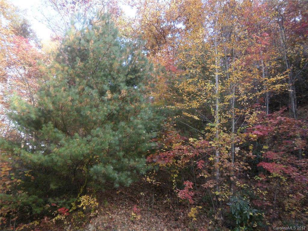 Lot 637 Saunooke Trail - Photo 1 Lot 637 Saunooke Trail - Photo 1