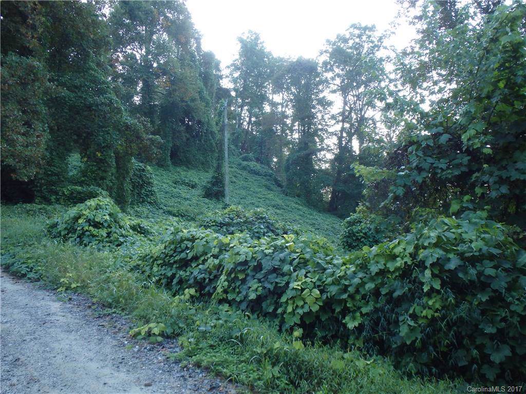 0000 Bat Cave Drive - Photo 1
