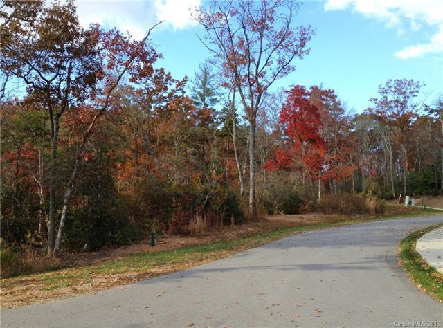 tbd Springhouse Trail - Photo 1