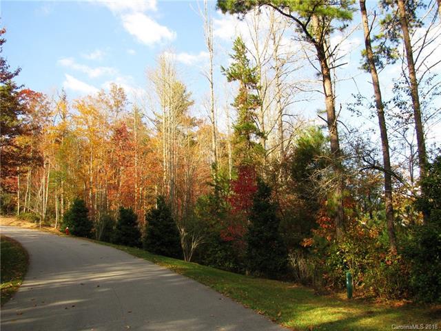tbd Springhouse Trail - Photo 1