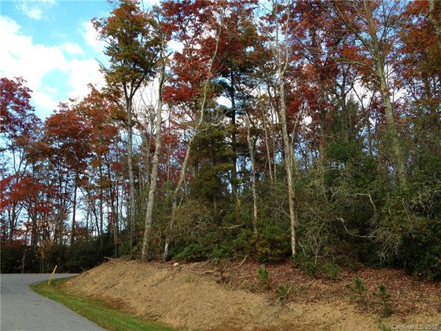 tbd Springhouse Trail - Photo 1