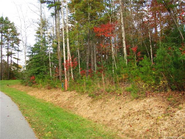 tbd Springhouse Trail - Photo 1