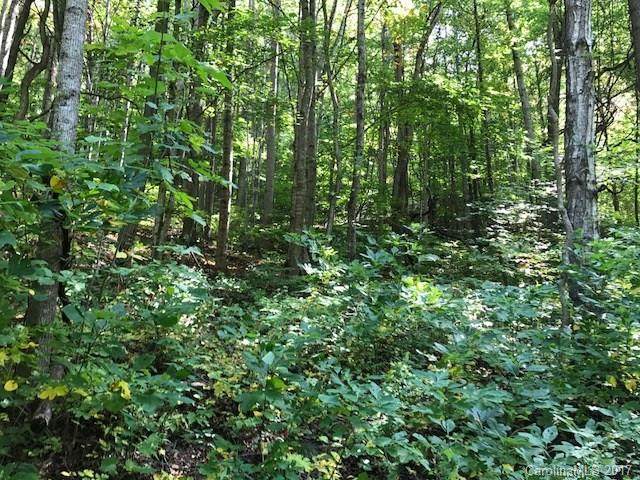 416 Tanglewood Trail - Photo 1