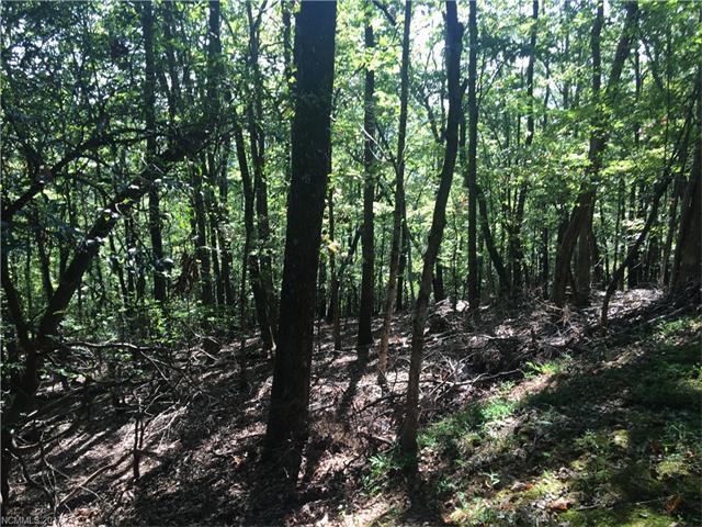 0 Sugar Maple Drive - Photo 1