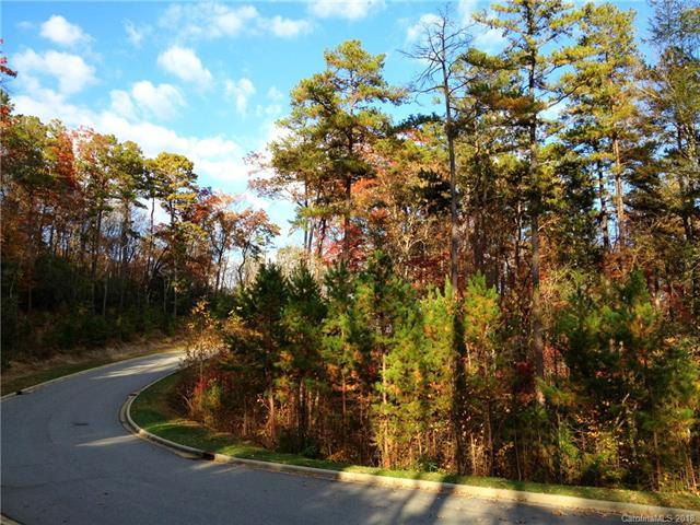 Upper Camptown Road - Photo 1