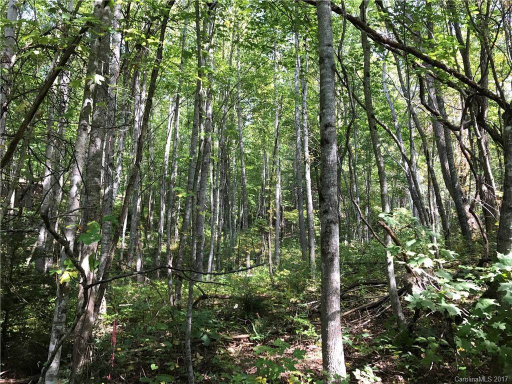 404 Brandywine Road - Photo 1