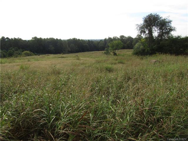 011 Stony Point Road - Photo 1