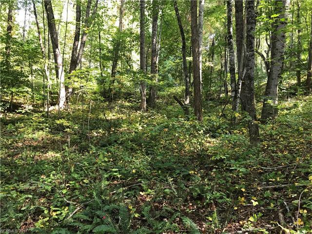 Lot #205 Beacon Rock Lane - Photo 1