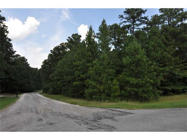 Lot 32 Holly Lane - Photo 1
