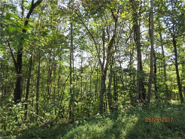 Lot 106 Roadrunner Circle - Photo 1