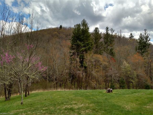 245 Merrills Cove Road - Photo 1