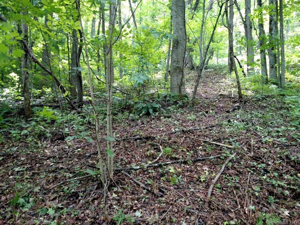 Lots 116 & 117 Spellbound Road - Photo 1