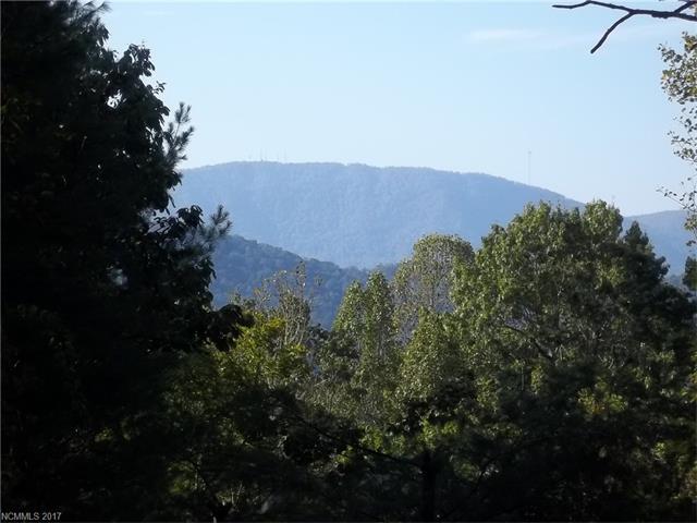 404 Falls Lane - Photo 1
