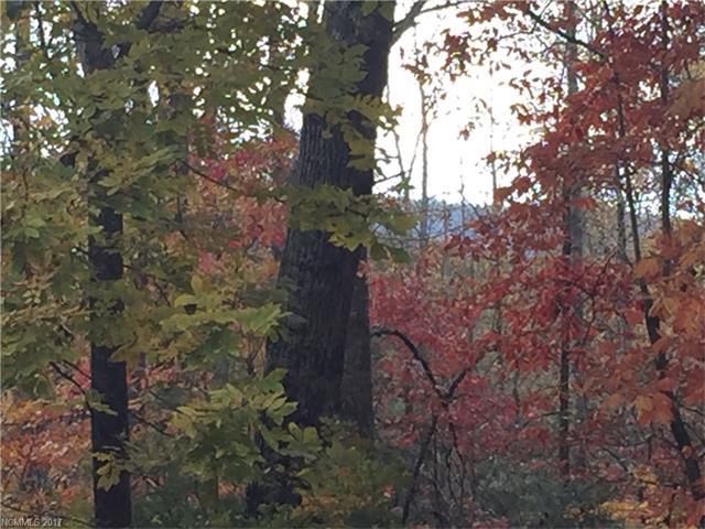 00 Deep Woods Lane - Photo 1