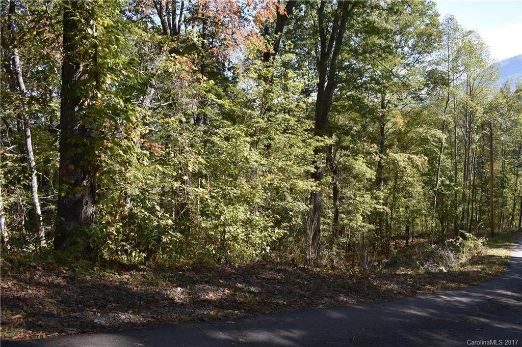 Lot 21B Peaceful Lane - Photo 1 Lot 21B Peaceful Lane - Photo 1