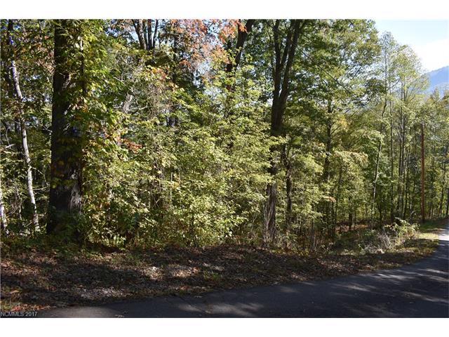 Lot 21B Peaceful Lane - Photo 1