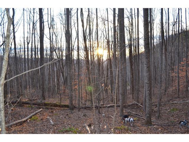 9999 Mcdaris Cove Road - Photo 1