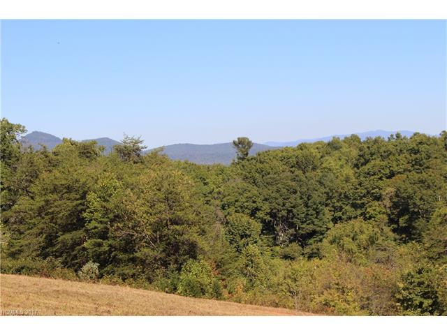18 Ross Mintz Road - Photo 1