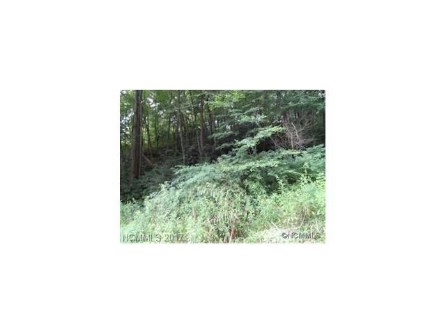 LOT 39 Coyote Hollow Road - Photo 1