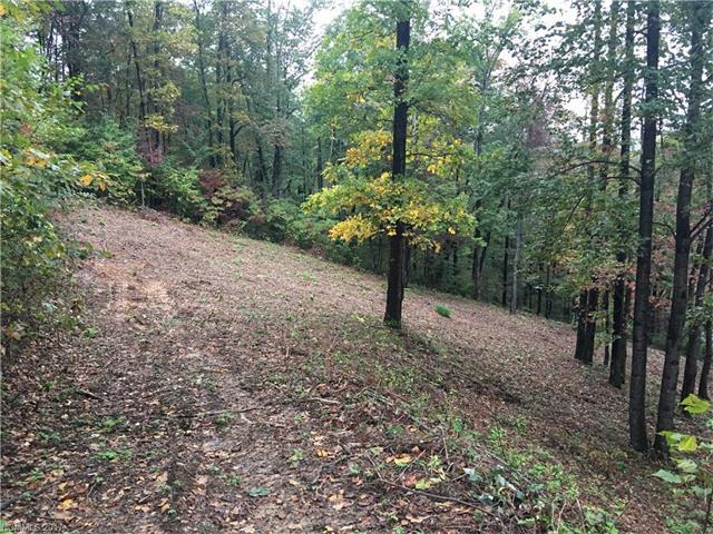 100 Whiteside Trail - Photo 1