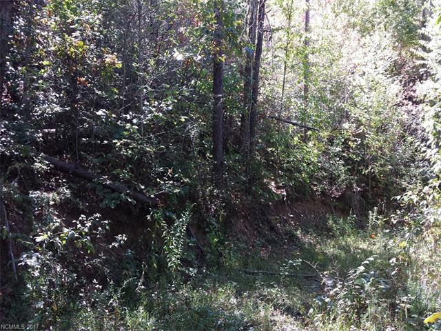 00 Ashe Loop Road - Photo 1