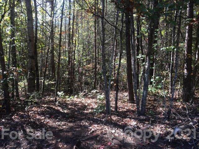 20 Sunshine Acres Road - Photo 1