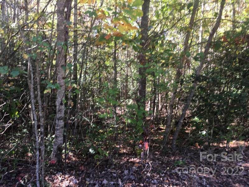 20 Sunshine Acres Road - Photo 1