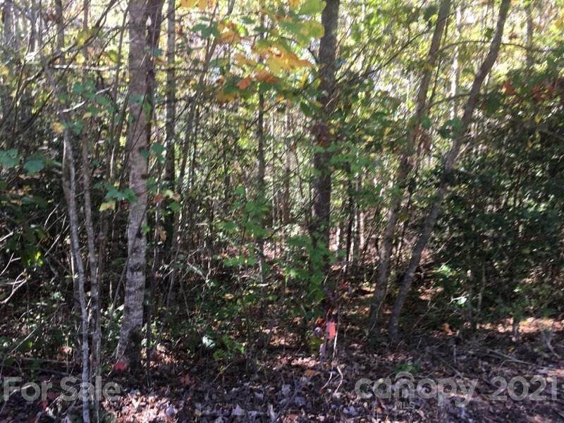 21 Sunshine Acres Road - Photo 1