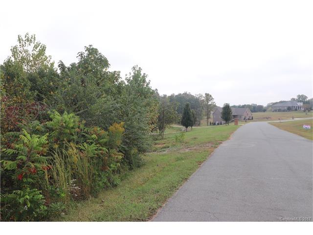 00000 Shelby Drive - Photo 1