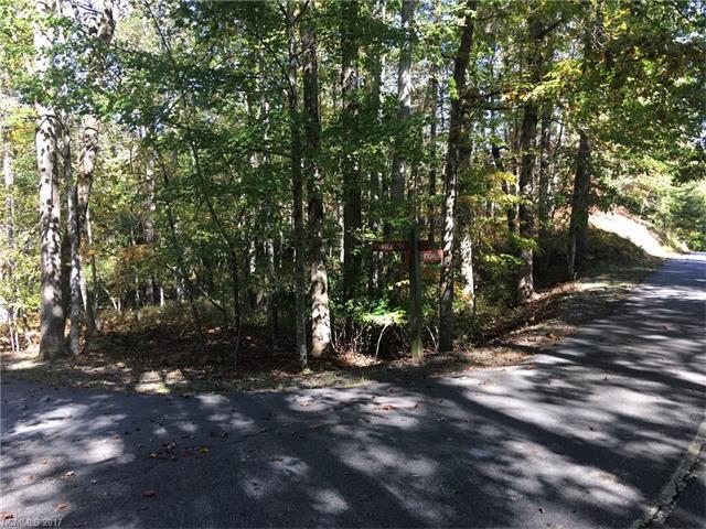 1A Tawsee Trail - Photo 1