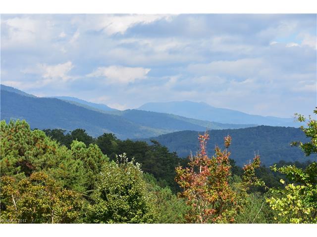 0 Spring Hollow Road - Photo 1