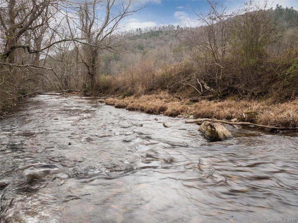 3725 Mills River Road - Photo 1