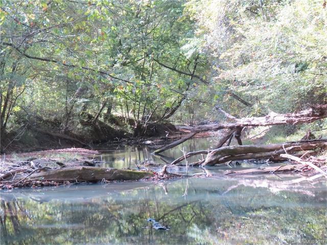 178.5 AC Hoodtown Road - Photo 1