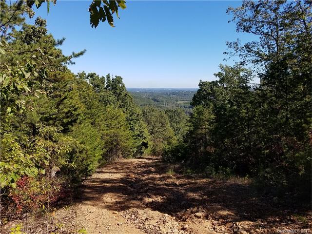 6578 Hildebran Mountain Avenue - Photo 1