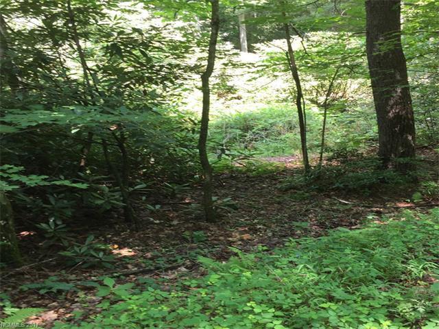 00 Scout Camp Road - Photo 1