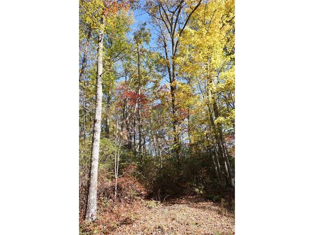 Lot 110 Ladd Ridge - Photo 1