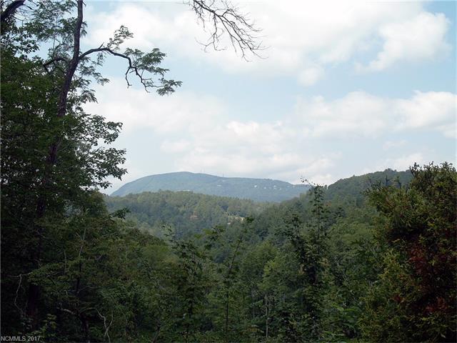 6 Whetstone Gap Road - Photo 1