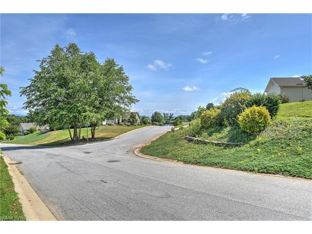 11 Climbing Aster Way - Photo 1