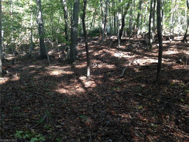 LOT 69 Cougar Lane - Photo 1