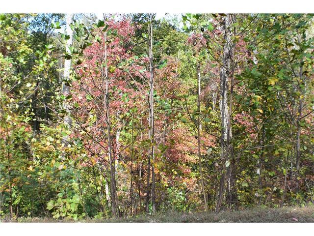0 Clear Creek Trail - Photo 1