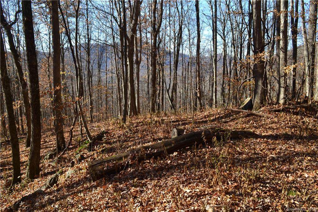000 Paint Fork Road - Photo 1
