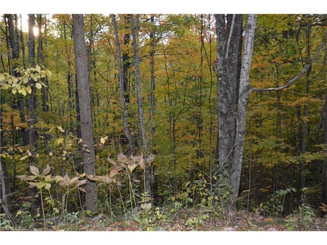 000 Paint Fork Road - Photo 1