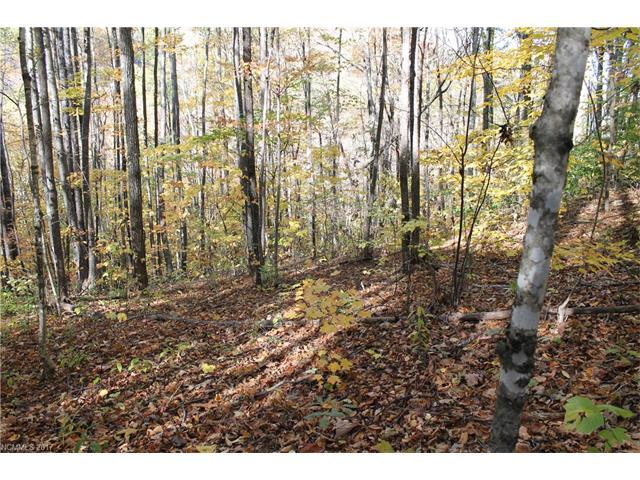 00 Old Fiddle Road - Photo 1