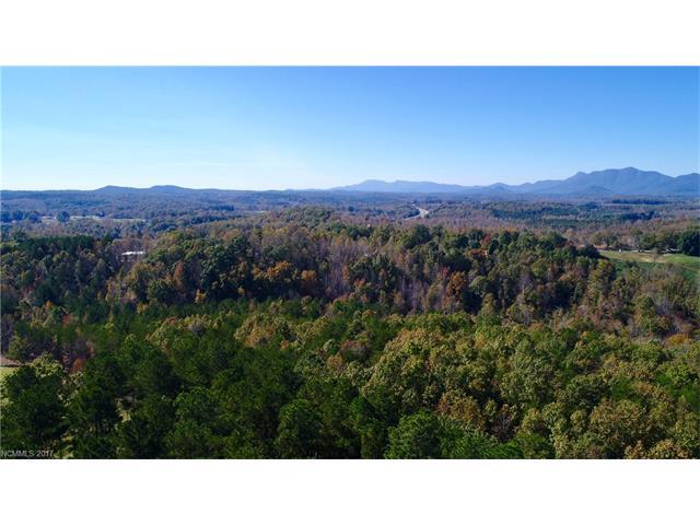 0 Pea Ridge Road - Photo 1